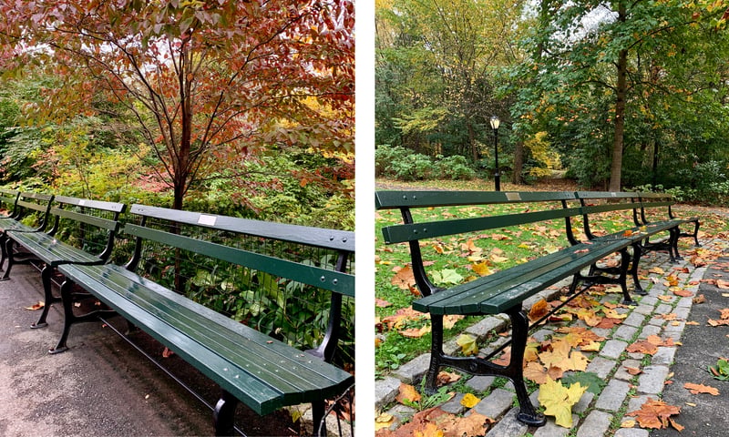 Benches Of Central Park preview 5